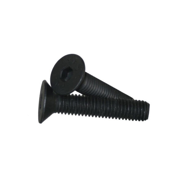 Flex Craft Flat Head Screw.